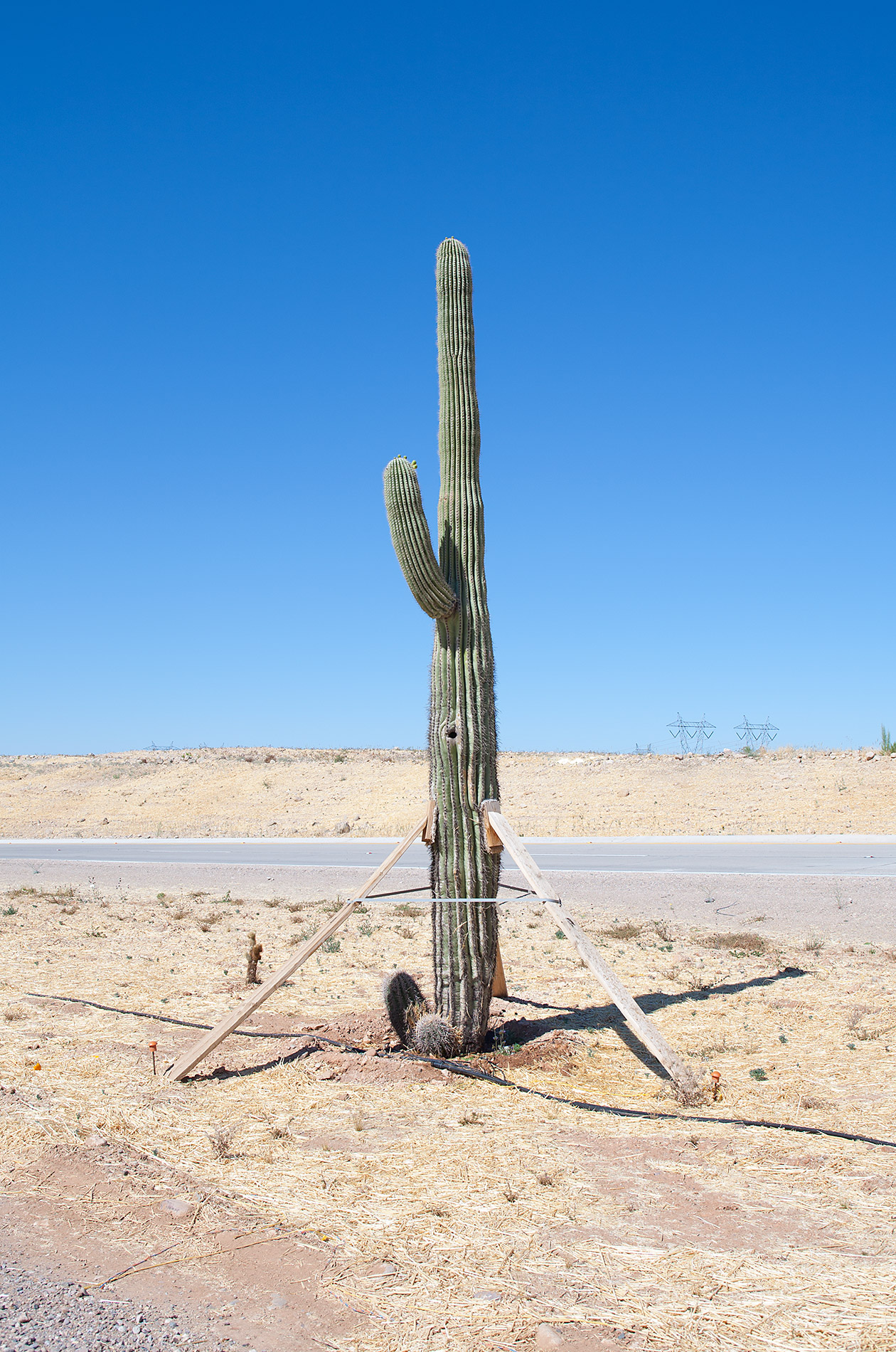 Surprise, Arizona - Steve Craft Photography - Phoenix Arizona Commercial Photographer