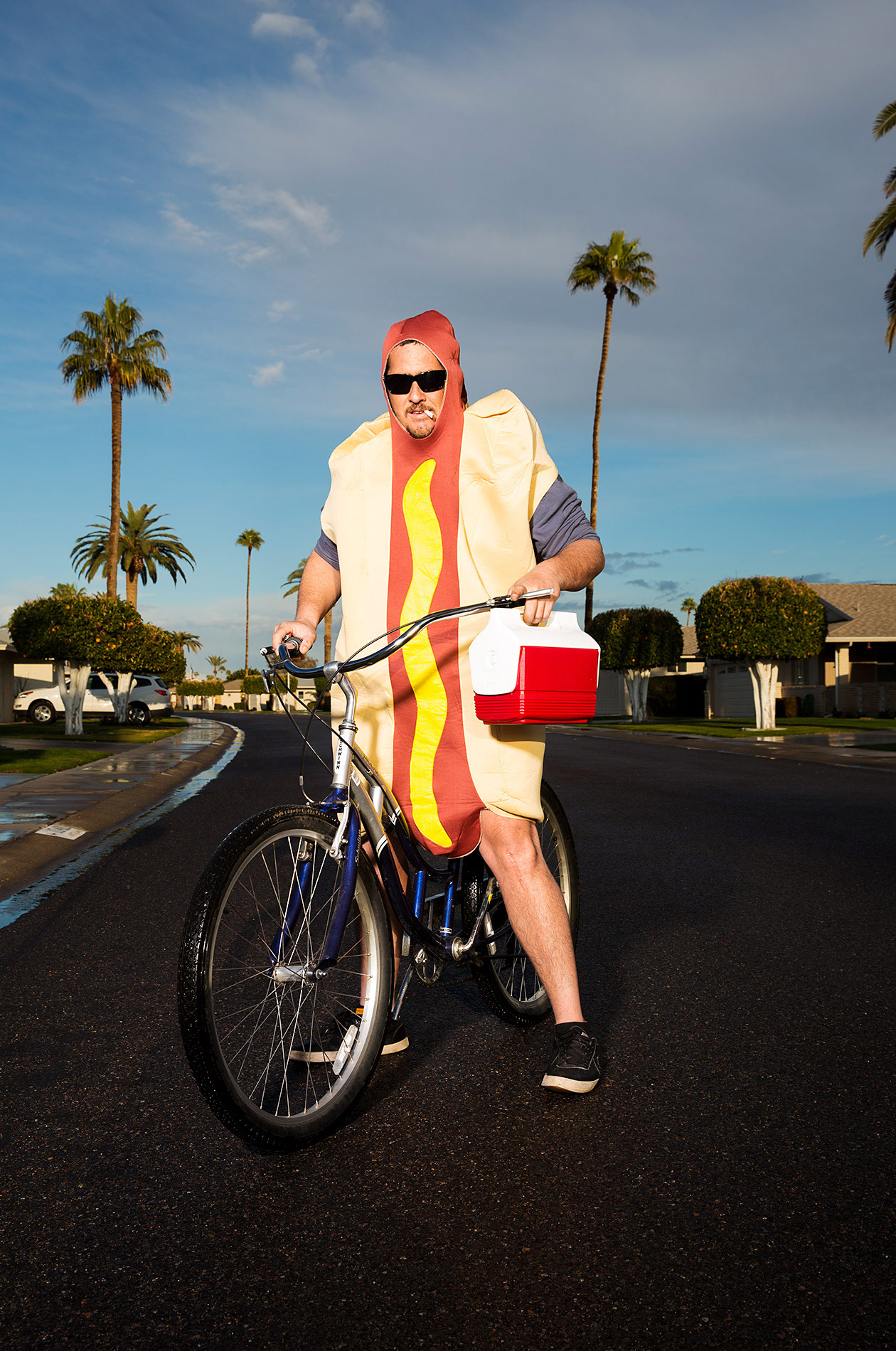 MR. HOT DOG