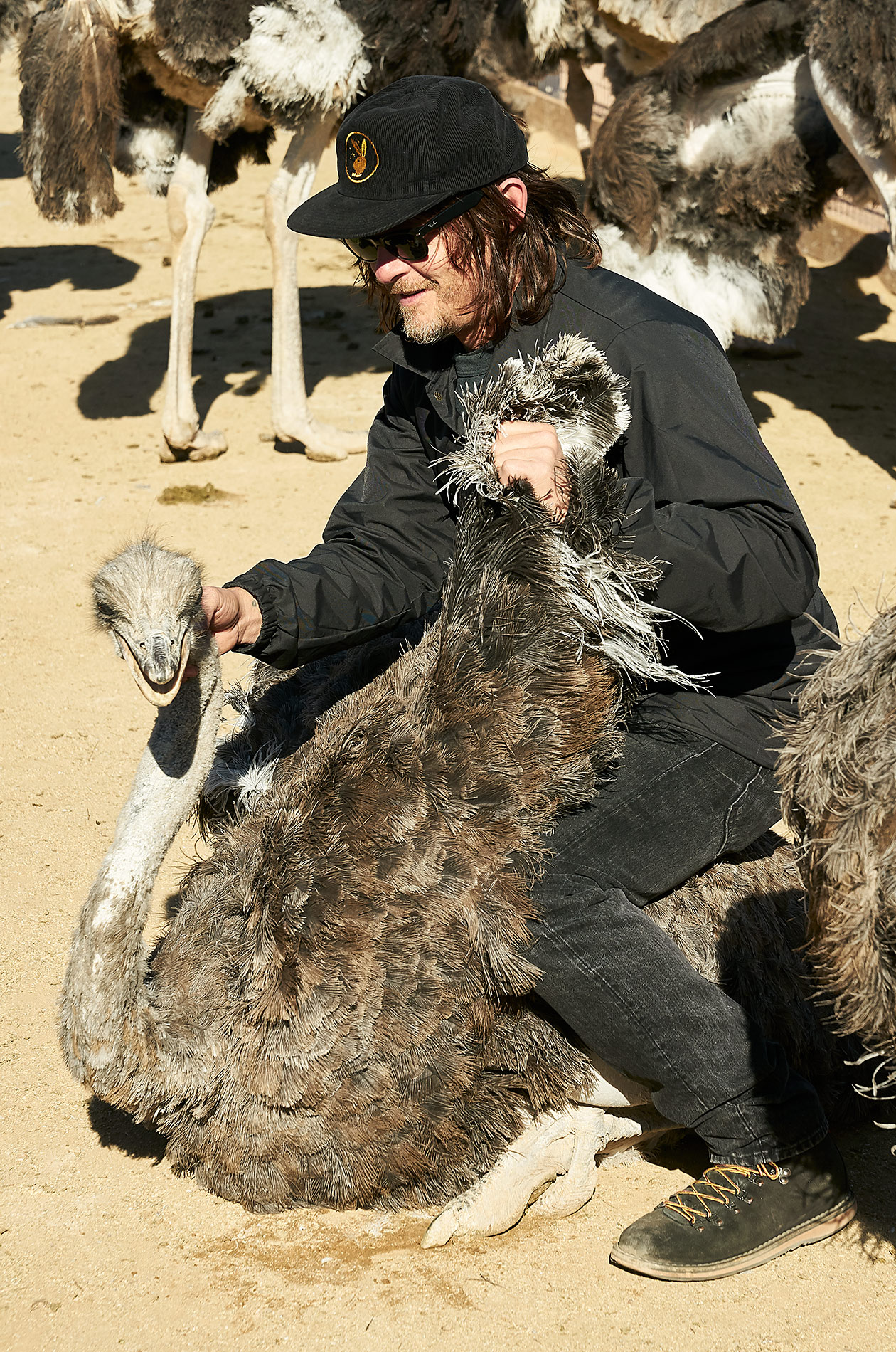 Norman Reedus on an ostrich - - Steve Craft Photography, Phoenix, Arizona based Commercial, Aviation & Editorial Photographer
