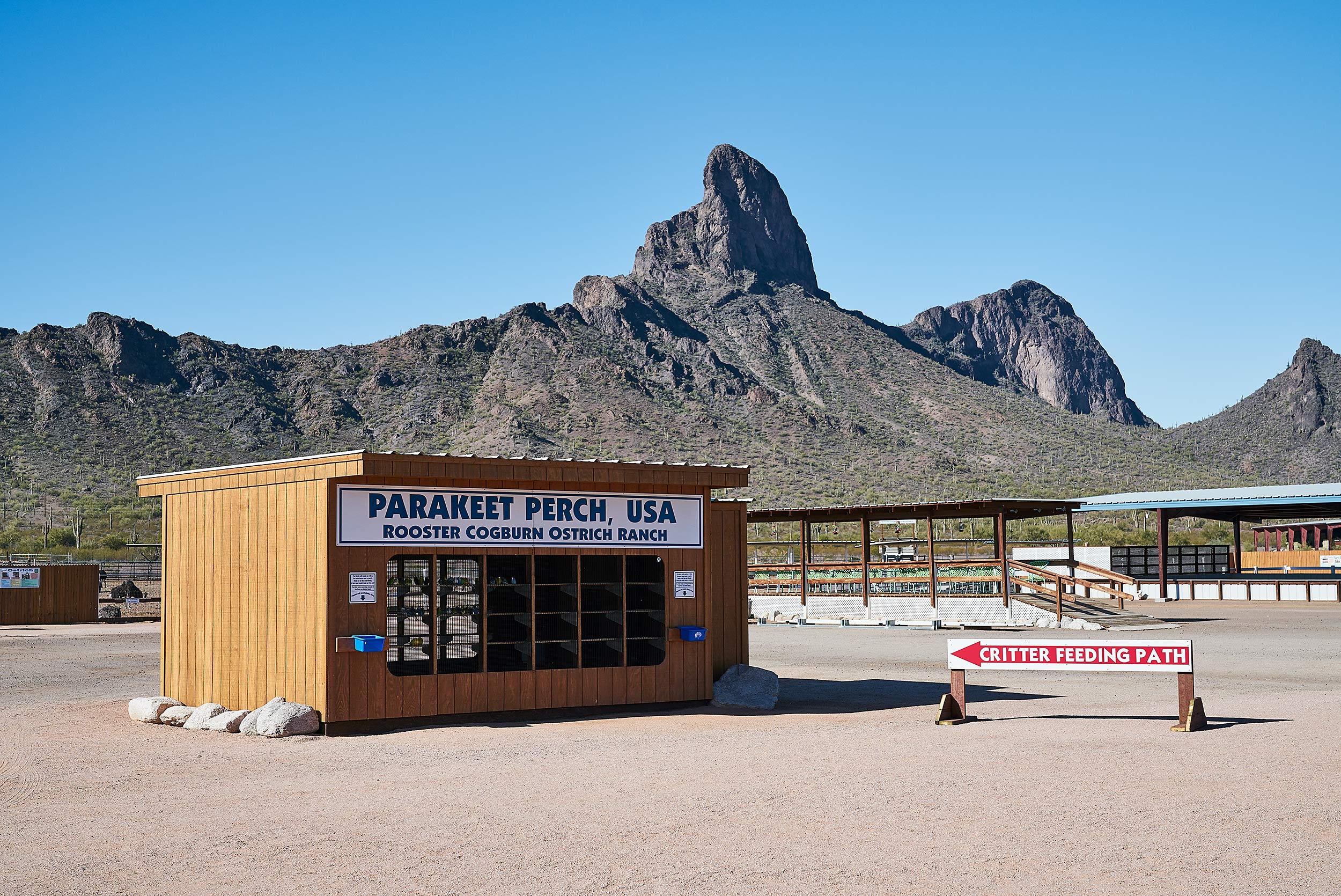 Parakeet Perch - Steve Craft Photography, Phoenix, Arizona based Commercial, Corporate & Advertising Photographer