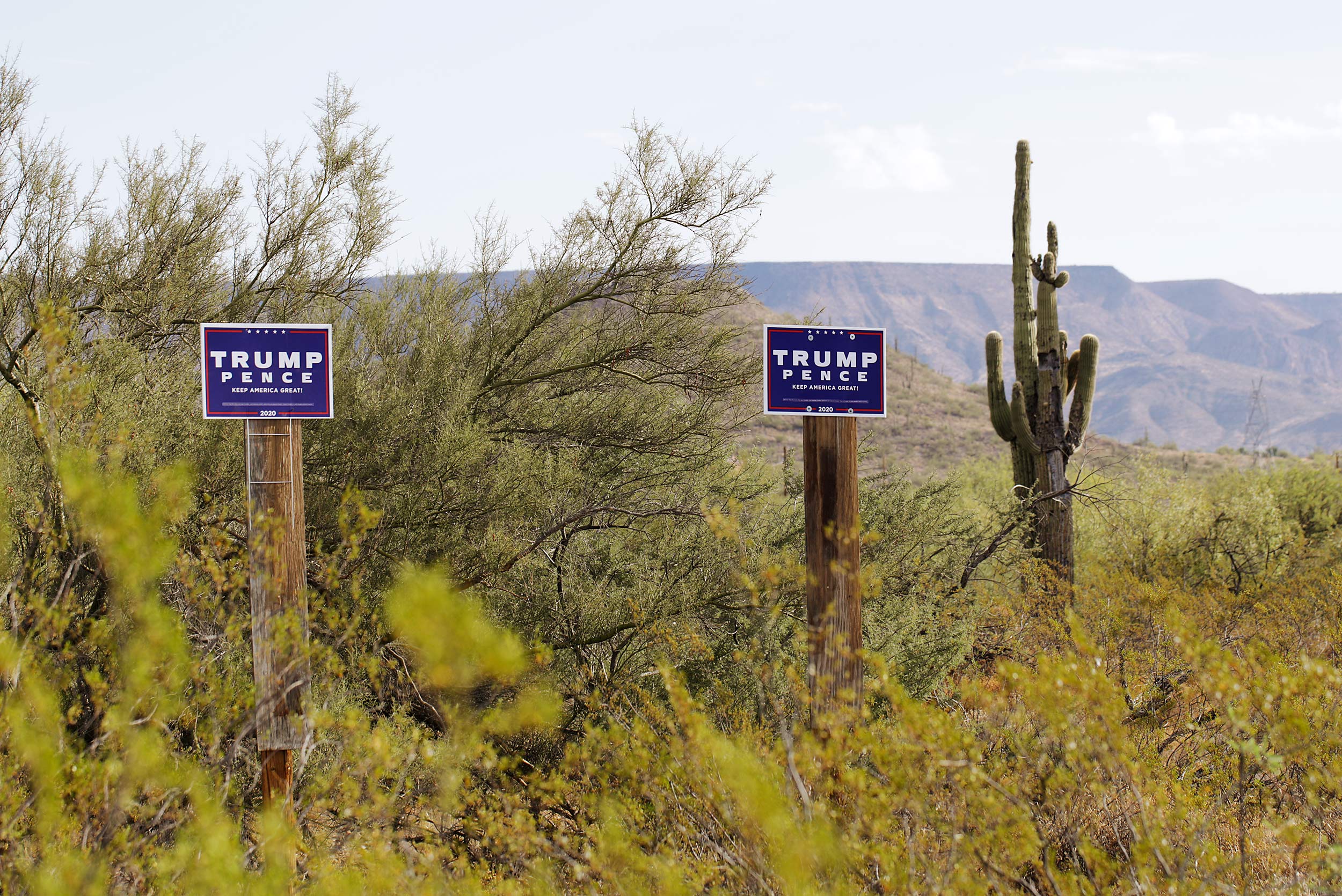 Trump and Cactus - Steve Craft Photo - Assignment Photographer Phoenix Arizona