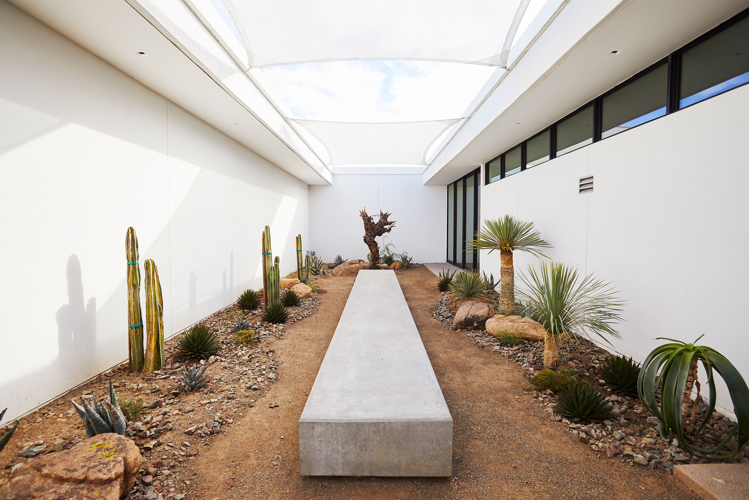 Wall Street Journal - Atrium Steve Craft Photo -  Commercial Photographer Phoenix Arizona
