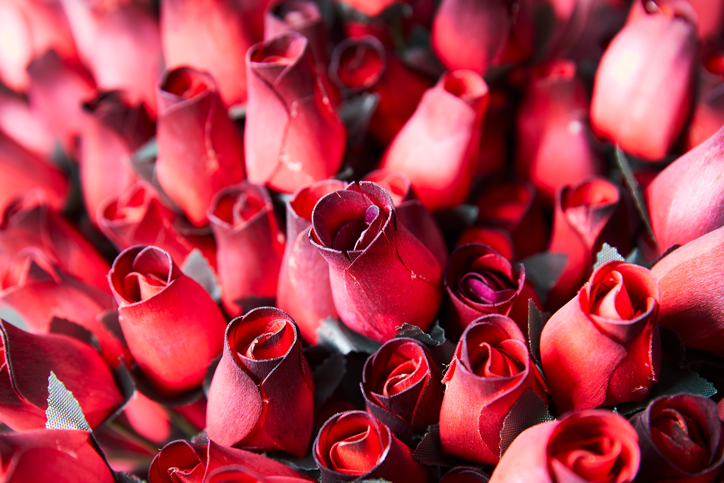 Wood roses  - Steve Craft Photo - Assignment Photographer Phoenix Arizona